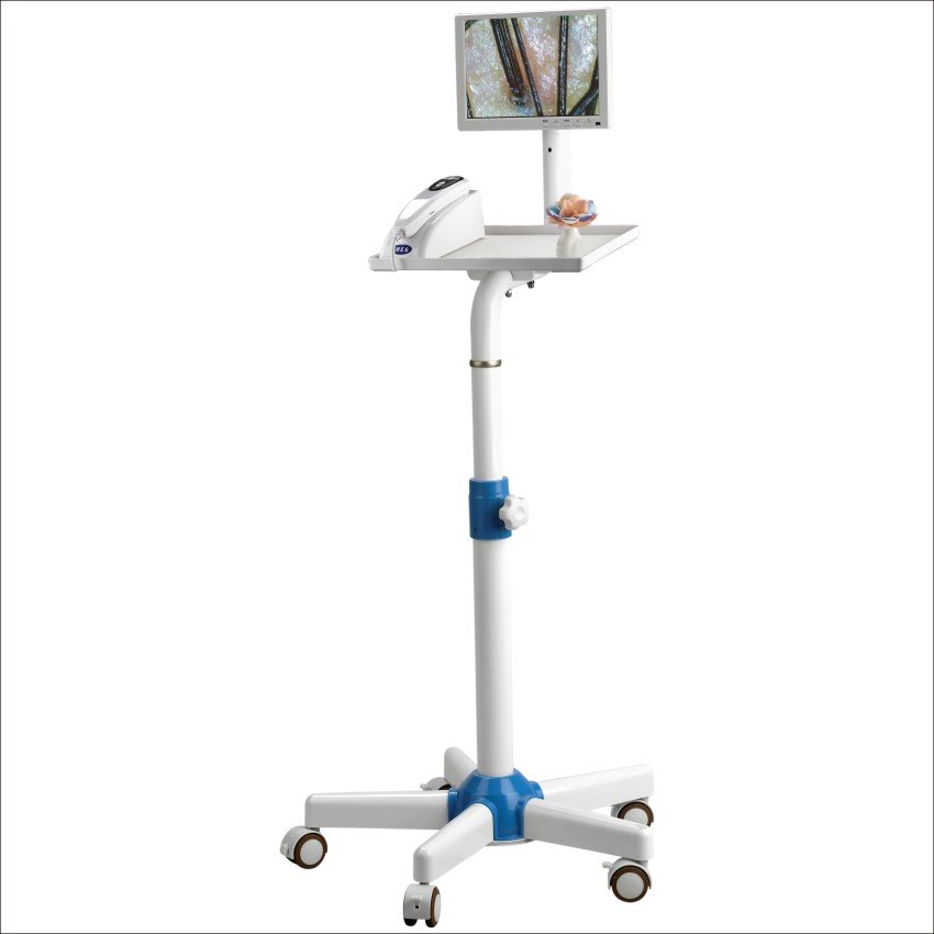 2023 5g Wifi 17inch Monitor with Skin Scalp Analyzer Facial Spa Machine Equipment Skin Hair Scalp Analyzer